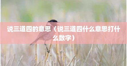 说三道四是什么意思怎么解释（说三道四三和四的意思）