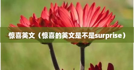 惊喜英文（惊喜的英文是不是surprise）