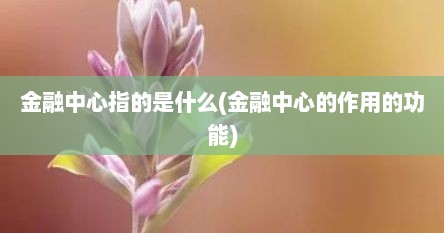 金融中心指的是什么(金融中心的作用的功能)