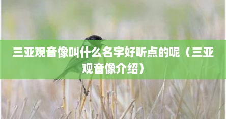 三亚观音像叫什么名字好听点的呢（三亚观音像介绍）