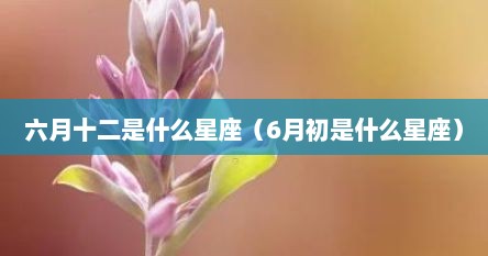 六月十二是什么星座（6月初是什么星座）
