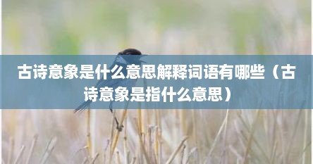 古诗意象是什么意思解释词语有哪些（古诗意象是指什么意思）