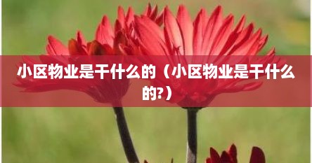 小区的物业是干什么的（小区物业是什么部门管理）