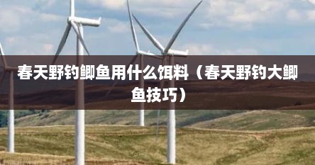 春天野钓鲫鱼用什么饵料（春天野钓大鲫鱼技巧）
