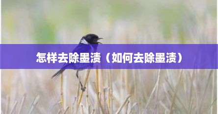怎样去除墨渍（如何去除墨渍）