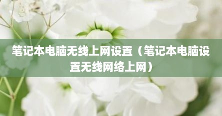 笔记本电脑无线上网设置（笔记本电脑设置无线网络上网）