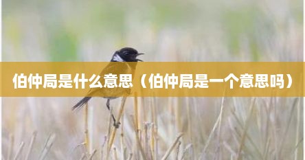 伯仲局是什么意思（伯仲局是一个意思吗）