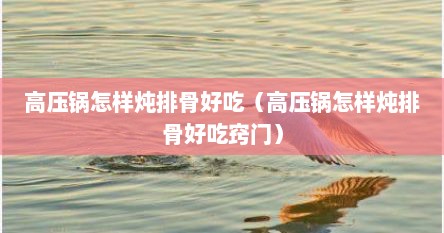 高压锅怎样炖排骨好吃（高压锅怎样炖排骨好吃窍门）
