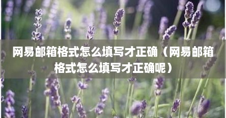 网易邮箱格式怎么填写才正确（网易邮箱格式怎么填写才正确呢）