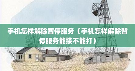 手机怎样解除暂停服务（手机怎样解除暂停服务能接不能打）