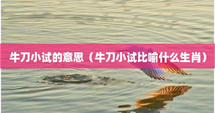 牛刀小试的意思（牛刀小试比喻什么生肖）