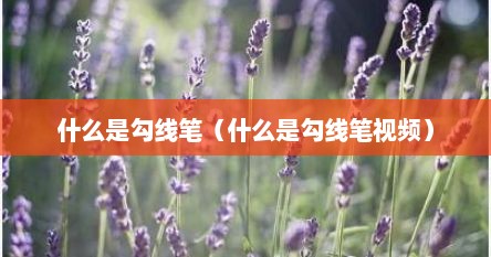 什么是勾线笔（什么是勾线笔视频）
