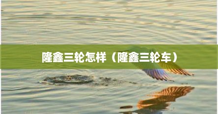 隆鑫三轮怎样（隆鑫三轮车）