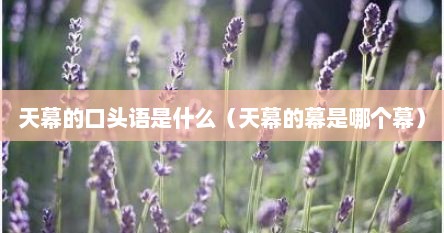 天幕的口头语是什么（天幕的幕是哪个幕）