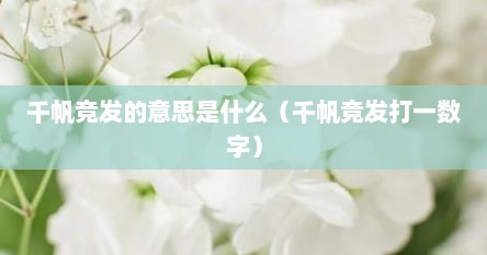 千帆竞发的意思是什么（千帆竞发打一数字）