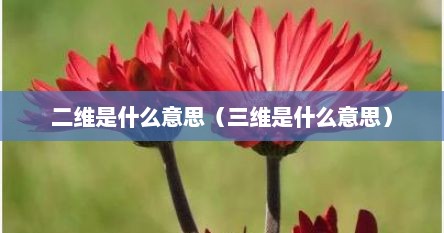二维是什么意思（三维是什么意思）