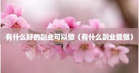 有什么好的副业可以做（有什么副业能做）