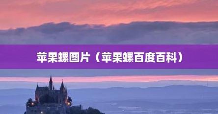 苹果螺图片（苹果螺百度百科）