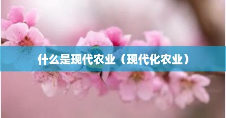 什么是现代农业（现代化农业）