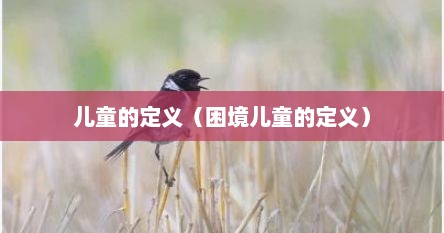 儿童的定义（困境儿童的定义）