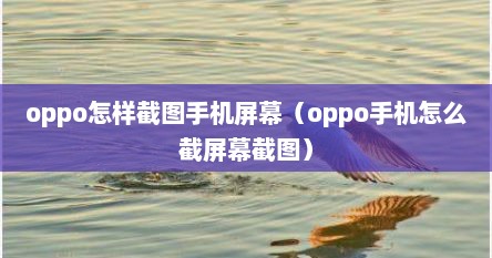 oppo怎样截图手机屏幕（oppo手机怎么截屏幕截图）