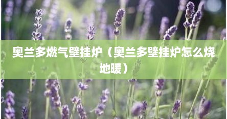 奥兰多燃气壁挂炉（奥兰多壁挂炉怎么烧地暖）