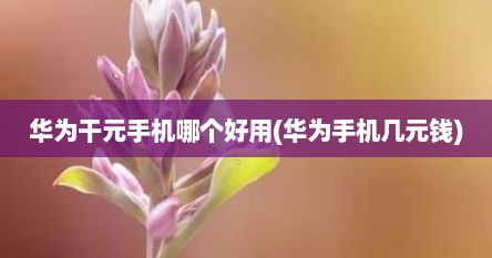 华为干元手机哪个好用(华为手机几元钱)