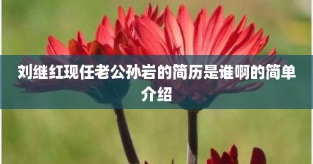 刘继红现任老公孙岩的简历是谁啊的简单介绍