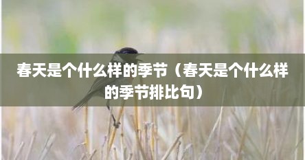 春天是个什么样的季节（春天是个什么样的季节排比句）