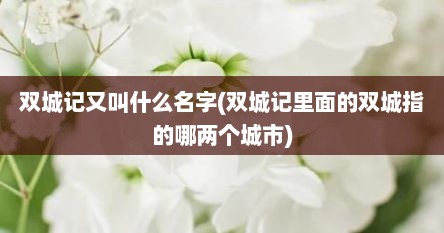 双城记又叫什么名字(双城记里面的双城指的哪两个城市)