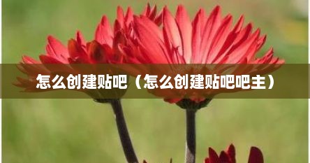 怎么创建贴吧（怎么创建贴吧吧主）
