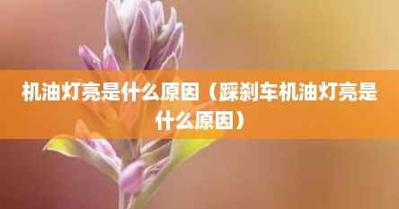 机油灯亮是什么原因（踩刹车机油灯亮是什么原因）