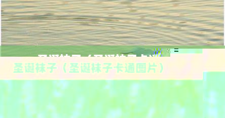 圣诞袜子（圣诞袜子卡通图片）