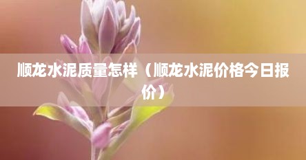 顺龙水泥质量怎样（顺龙水泥价格今日报价）