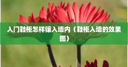 入门鞋柜怎样镶入墙内（鞋柜入墙的效果图）