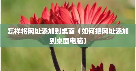 怎样将网址添加到桌面（如何把网址添加到桌面电脑）