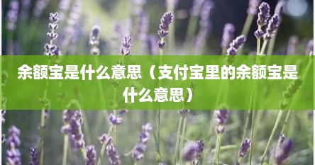余额宝是什么意思有风险吗（微信余额宝和支付宝余额宝的区别）