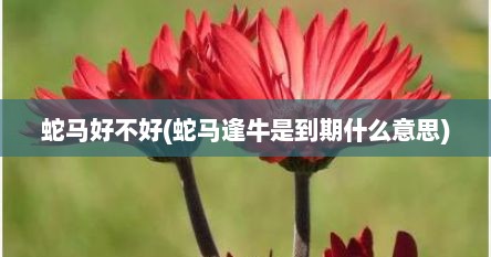 蛇马好不好(蛇马逢牛是到期什么意思)