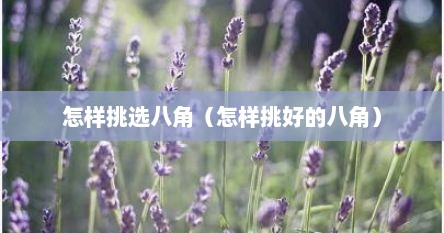 怎样挑选八角（怎样挑好的八角）