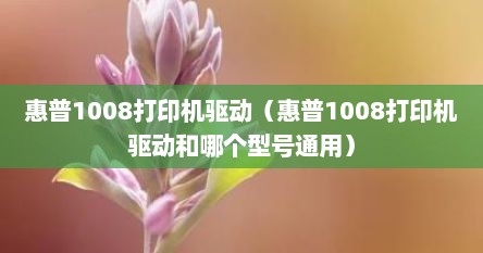 惠普1008打印机驱动（惠普1008打印机驱动和哪个型号通用）