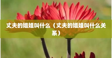 丈夫的姐姐叫什么（丈夫的姐姐叫什么关系）
