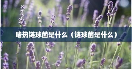 嗜热链球菌是什么（链球菌是什么）