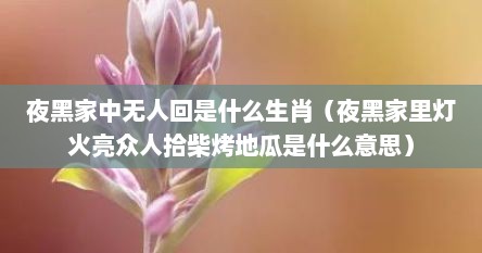夜黑家中无人回是什么生肖（夜黑家里灯火亮众人拾柴烤地瓜是什么意思）