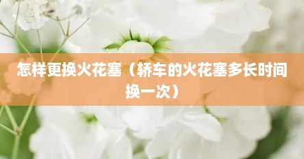 怎样更换火花塞（轿车的火花塞多长时间换一次）