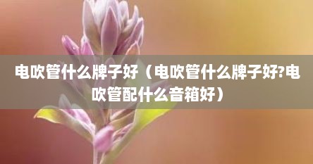 电吹管什么牌子好（电吹管什么牌子好?电吹管配什么音箱好）