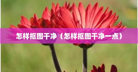 怎样抠图干净（怎样抠图干净一点）