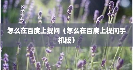 怎么在百度上缇问（怎么在百度上缇问手机版）