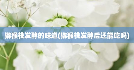 猕猴桃发酵的味道(猕猴桃发酵后还能吃吗)