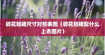 碎花短裙尺寸对照表图（碎花短裙配什么上衣图片）