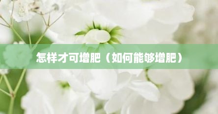 怎样才可增肥（如何能够增肥）